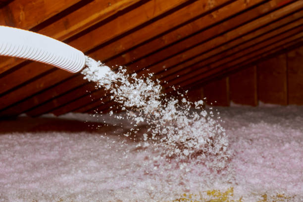 Best Home Insulation Services  in Marin City, CA